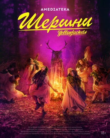 Шершни постер